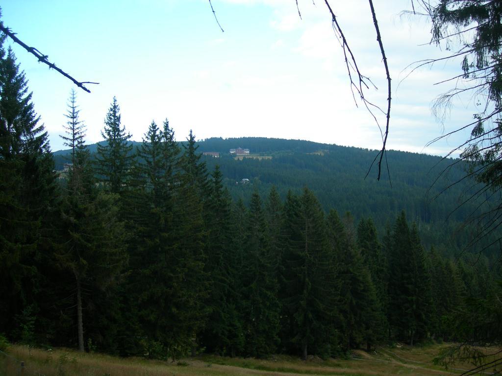 Apartmany Olympia Железна Руда Екстер'єр фото